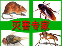 祝賀康凈公司總經(jīng)理當選《中國專(zhuān)業(yè)有害生物管理》雜志編委